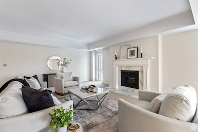 Living area with carpet floors, a premium fireplace, a tray ceiling, and ornamental molding