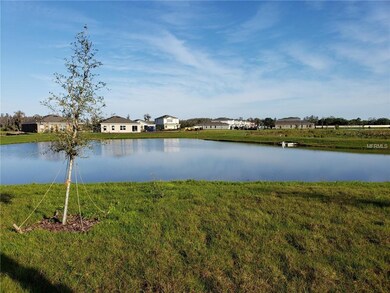 18633 Hunters Meadow Walk, Land O' Lakes, FL 34638 - photo 3