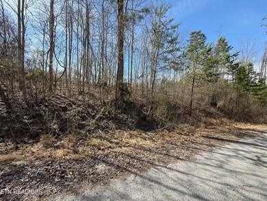 TBD Brandt Pike, Lafollette, TN 37766 - photo 7