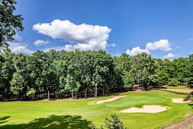 1041 Lockets Trail, Greensboro, GA 30642 - photo 3