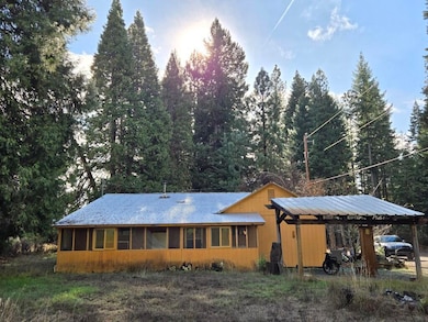 441 Red Blanket Rd, Prospect, OR 97536 - photo 5