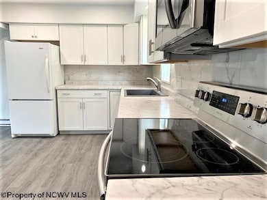 160 Harner Run Rd, Morgantown, WV 26508 - photo 5