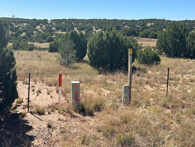 0 N Us-84, Las Vegas, NM 87701 - photo 4