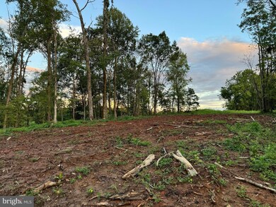 0 Mountain Ridge Way unit VACU2008546, Culpeper, VA 22701 - photo 3