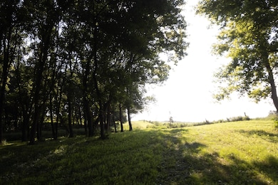 00 18th St SE, Spencer, IA 51301 - photo 4