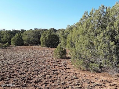 20200818050005368583000000-o