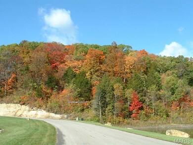 600 N High Post Rd, Augusta, MO 63332 - photo 7