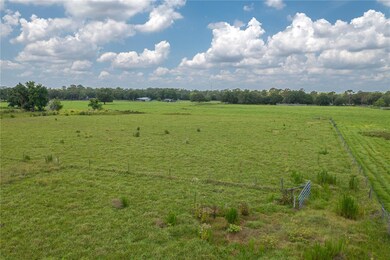 View looking W