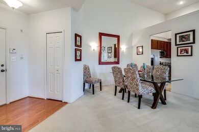 7210 Darby Downs unit P, Elkridge, MD 21075 - photo 6