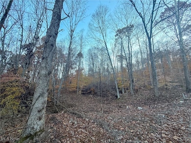 0 W Deaver Rd, McConnelsvle, OH 43756 - photo 6