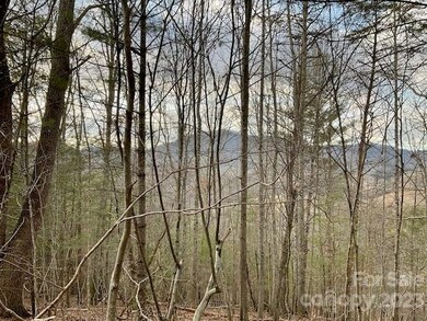 11 Hamlet Dr unit 11-12, Burnsville, NC 28714 - photo 7