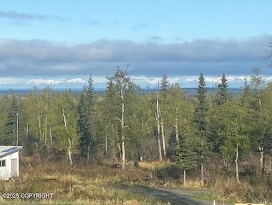 32603 Rickard St, Anchor Point, AK 99556 - photo 2