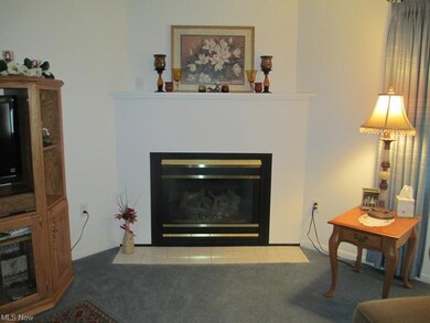 Gas Fireplace