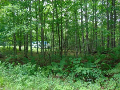 - Sullivan Dr, Stewartstown, NH 03597 - photo 2