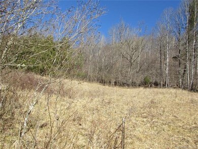 00 Willow Creek Rd, Burnsville, NC 28714 - photo 7