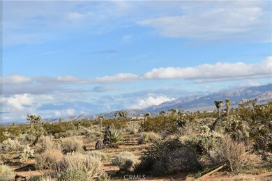 7157 Sunkist Rd, Joshua Tree, CA 92252 - photo 4