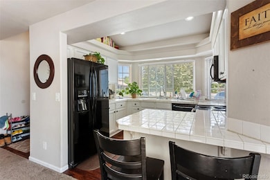 19917 Mitchell Cir, Denver, CO 80249 - photo 6