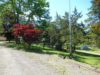 DSCN9469