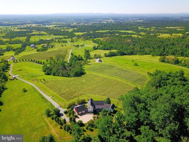 19304 Dodderidge Ct, Bluemont, VA 20135 - photo 4