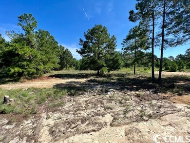 5409 Pebble Ln, Conway, SC 29526 - photo 3