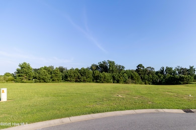 171 Herring, Merry Hill, NC 27957 - photo 3