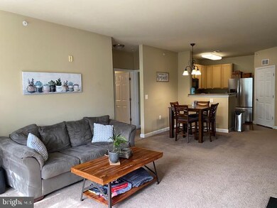 22607 Blue Elder Terrace unit 302, Ashburn, VA 20148 - photo 5
