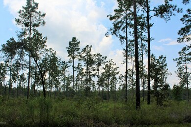 9ac Homestead, Lucedale, MS 39452 - photo 7