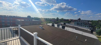 1317 N Central Ave, Baltimore, MD 21202 - photo 4