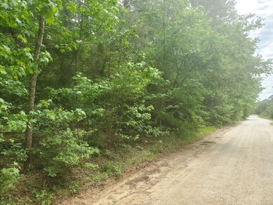 Lot 1 Magnolia Springs, Plantersville, TX 77363 - photo 3