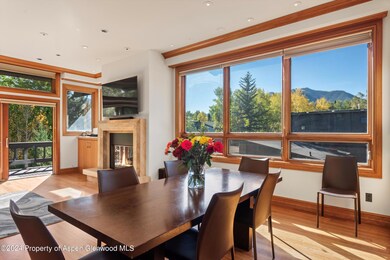 1085 Cemetery Ln unit A, Aspen, CO 81611 - photo 5