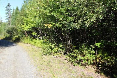 frontage along Doe Path