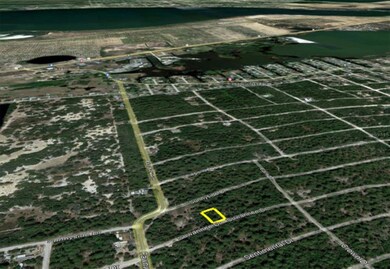 208 Suwannee Dr, Lake Placid, FL 33852 - photo 4