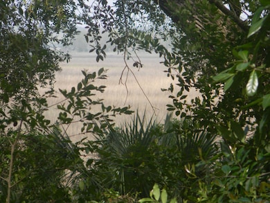 DSCN2506.jpg