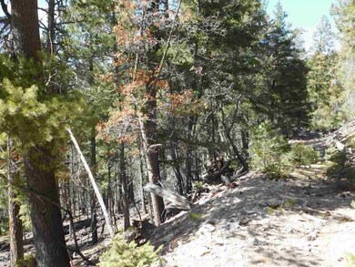 0 Ridgecrest Dr unit 1-3, Alamogordo, NM 88310 - photo 5