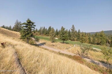 CDA National Reserve Lot 8 photos-5