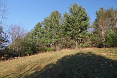 TBD Trapper Dr, Woodlawn, VA 24381 - photo 3