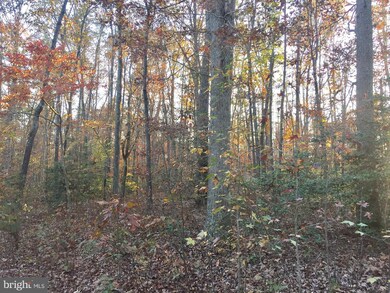 0 Cheetah Ln unit VASP203320, Spotsylvania, VA 22553 - photo 3