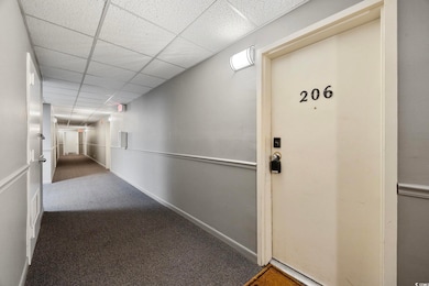 6840 Blue Heron Blvd unit 206, Myrtle Beach, SC 29588 - photo 5