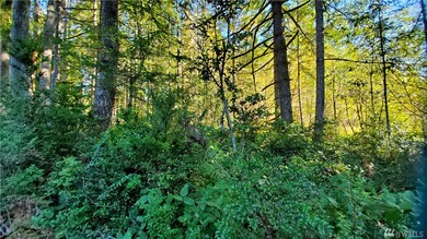 0 E Wild Grape Way unit 1665986, Grapeview, WA 98546 - photo 7