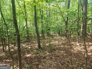 16 Hayden Ct, Ellijay, GA 30540 - photo 6