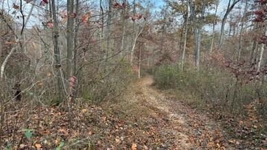 527 Chestnut Grove Cemetery Rd, Bonnieville, KY 42713 - photo 6