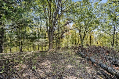 000 Wolf, Walnut Shade, MO 65771 - photo 6