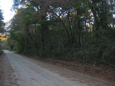 xx Neeley Rd unit x, Crawfordville, FL 32327 - photo 5