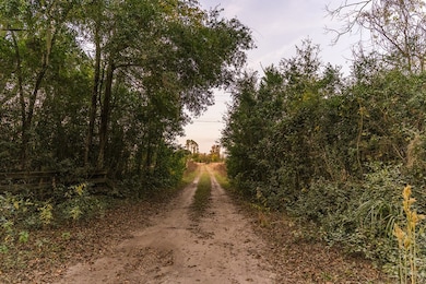 2351 NW 110th St, Chiefland, FL 32626 - photo 7