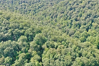 0002 Broomstick Rd, Big Bend, WV 26136 - photo 2