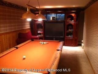 Basement Entertainment Room