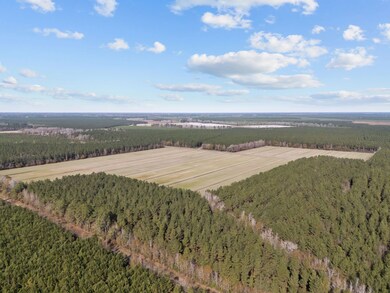 Tuten Rd, Blounts Creek, NC 27814 - photo 3