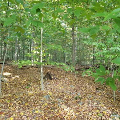 L 1 Laurel Rd, Covington Township, PA 18444 - photo 3