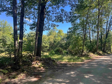 21 Bowen School Rd, Deering, NH 03244 - photo 2