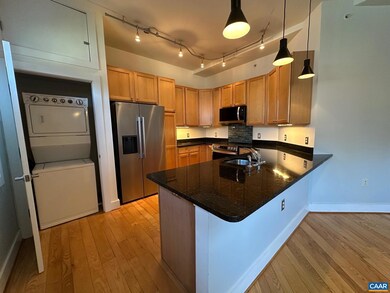215 5th St SW unit 1A, Charlottesville, VA 22903 - photo 2